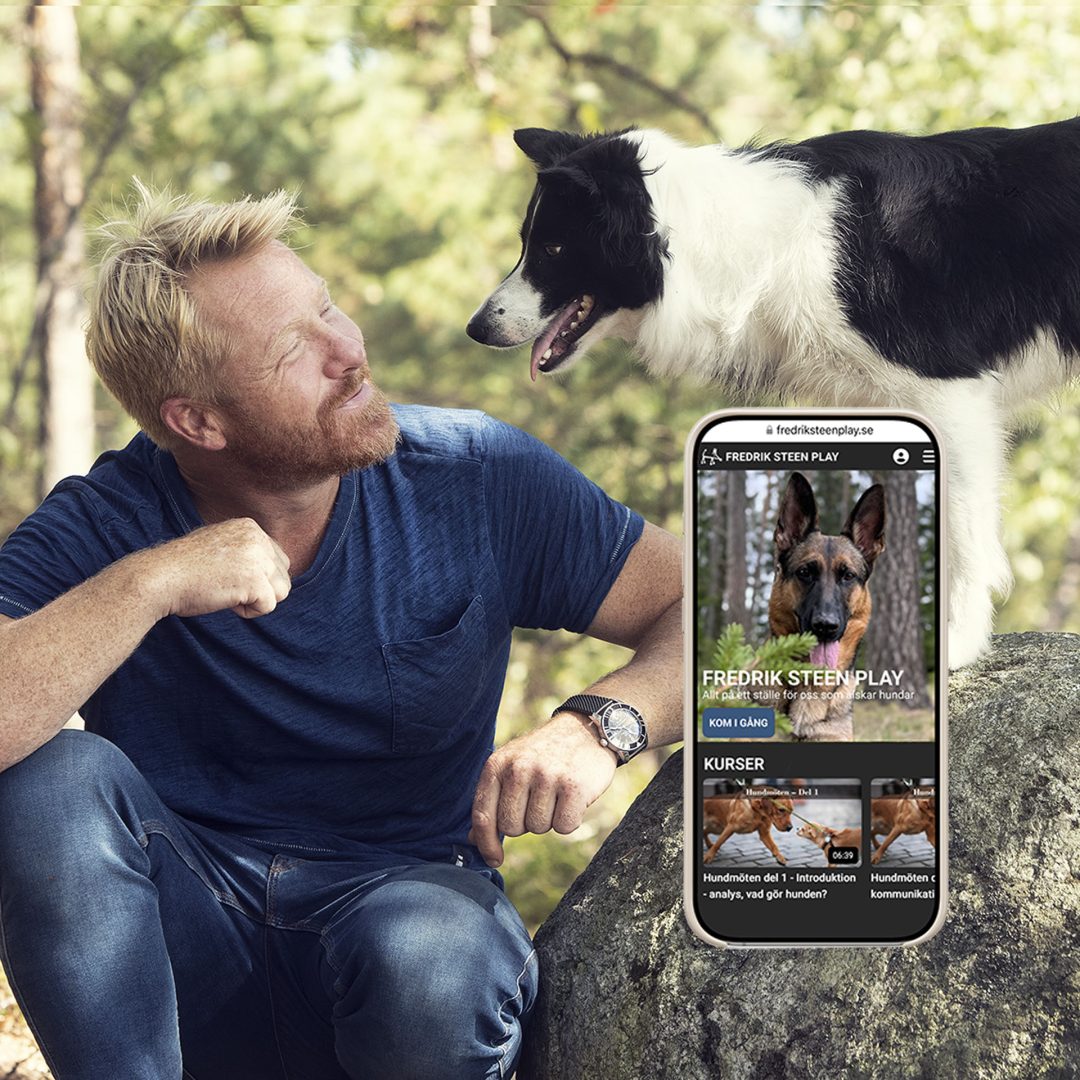Bli en ännu bättre hundägare med Fredrik Steen Play