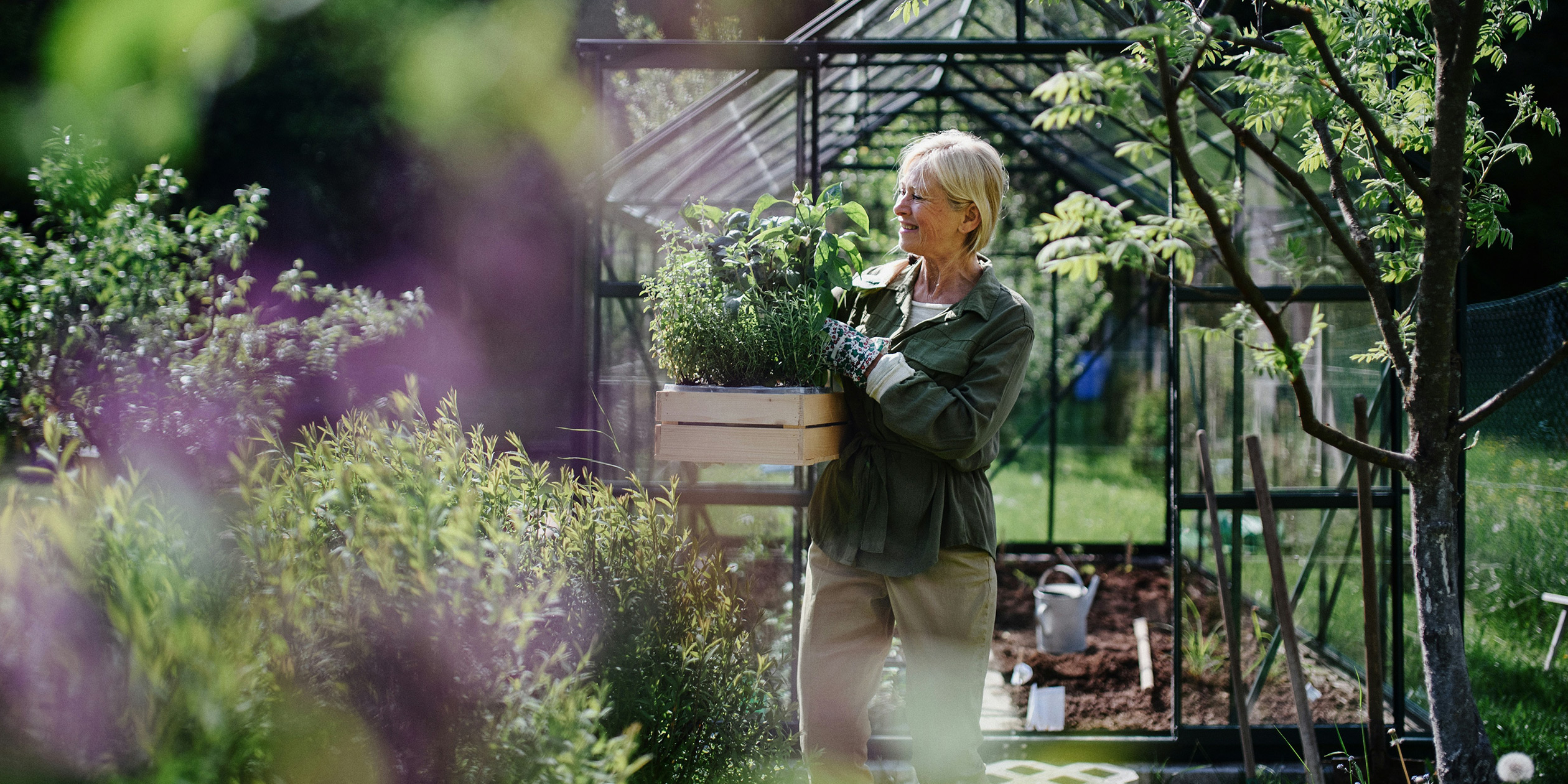 En äldre kvinna som bär på en blomlåda utanför ett växthus